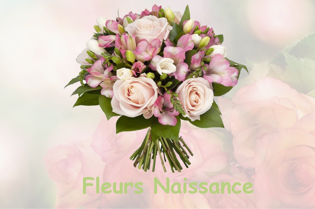 fleurs naissance BAIROLS