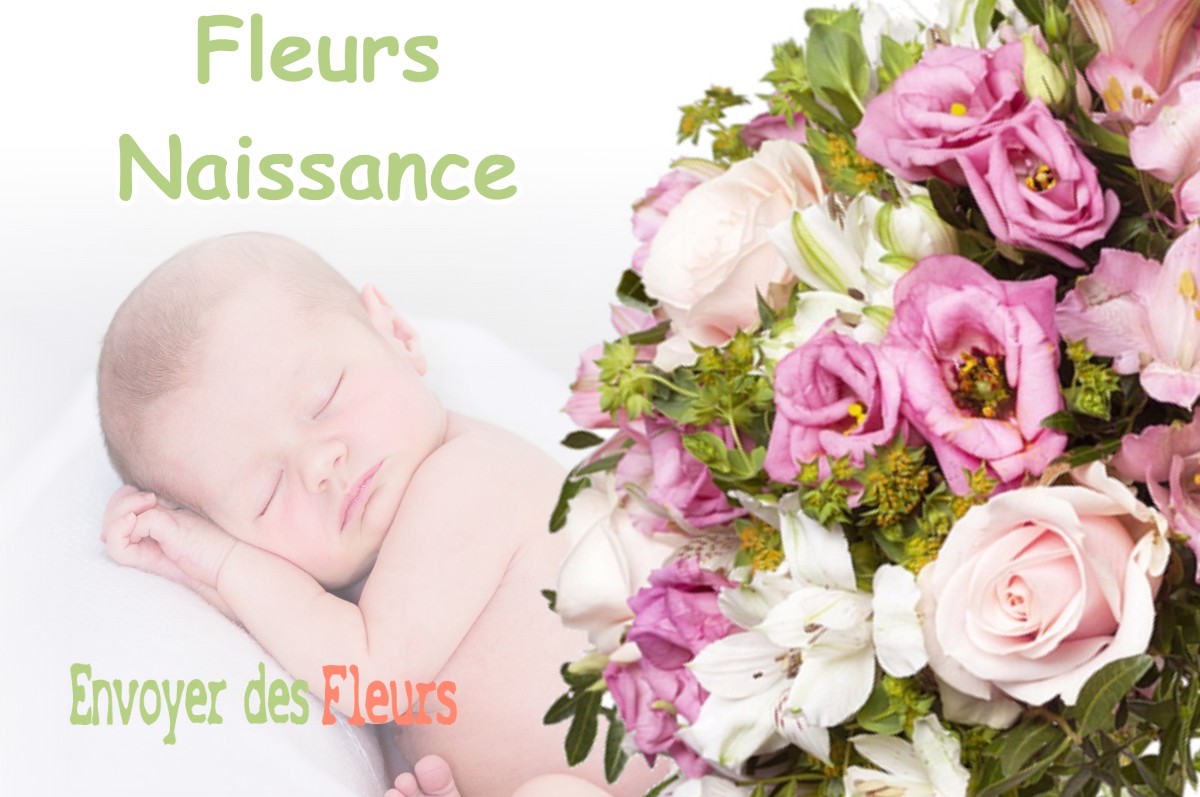 lIVRAISON FLEURS NAISSANCE à BAIROLS